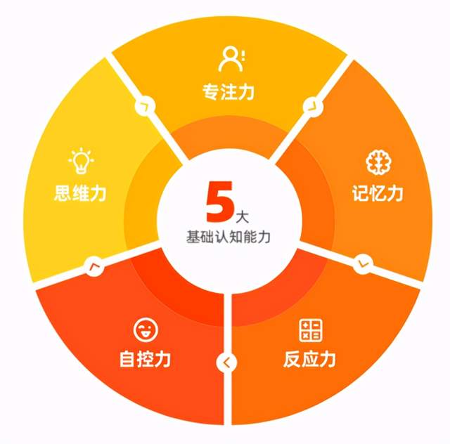 高考|记忆能力|记忆力_新浪新闻