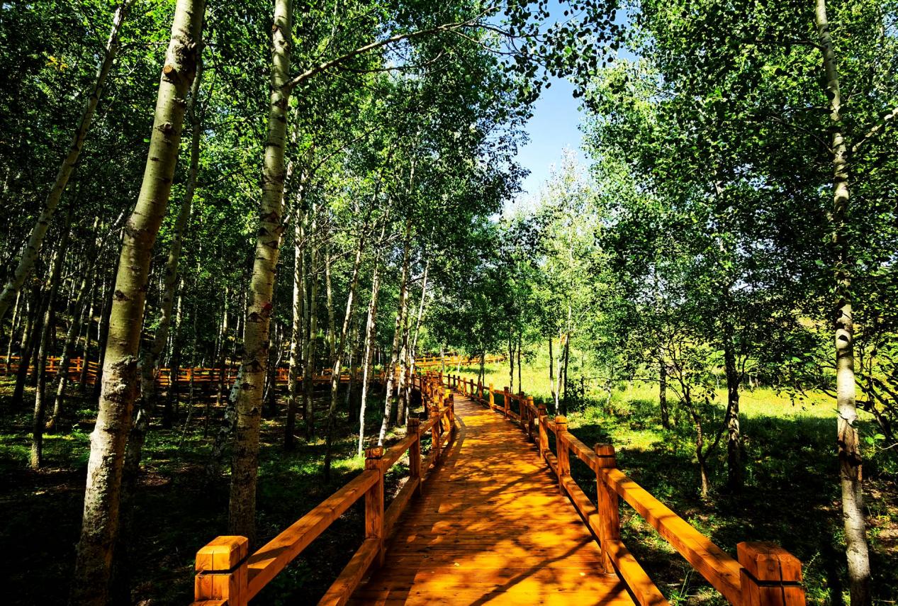 景区最美好的季节            这里与皇家园林"避暑山庄"遥相辉映