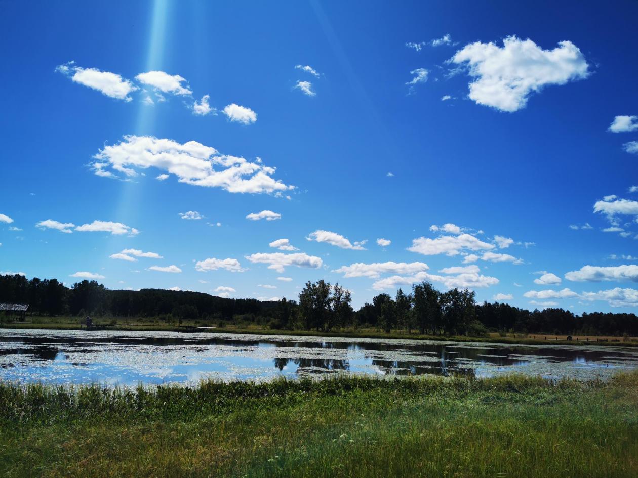 御道口草原森林风景区|夏季里的悠闲惬意