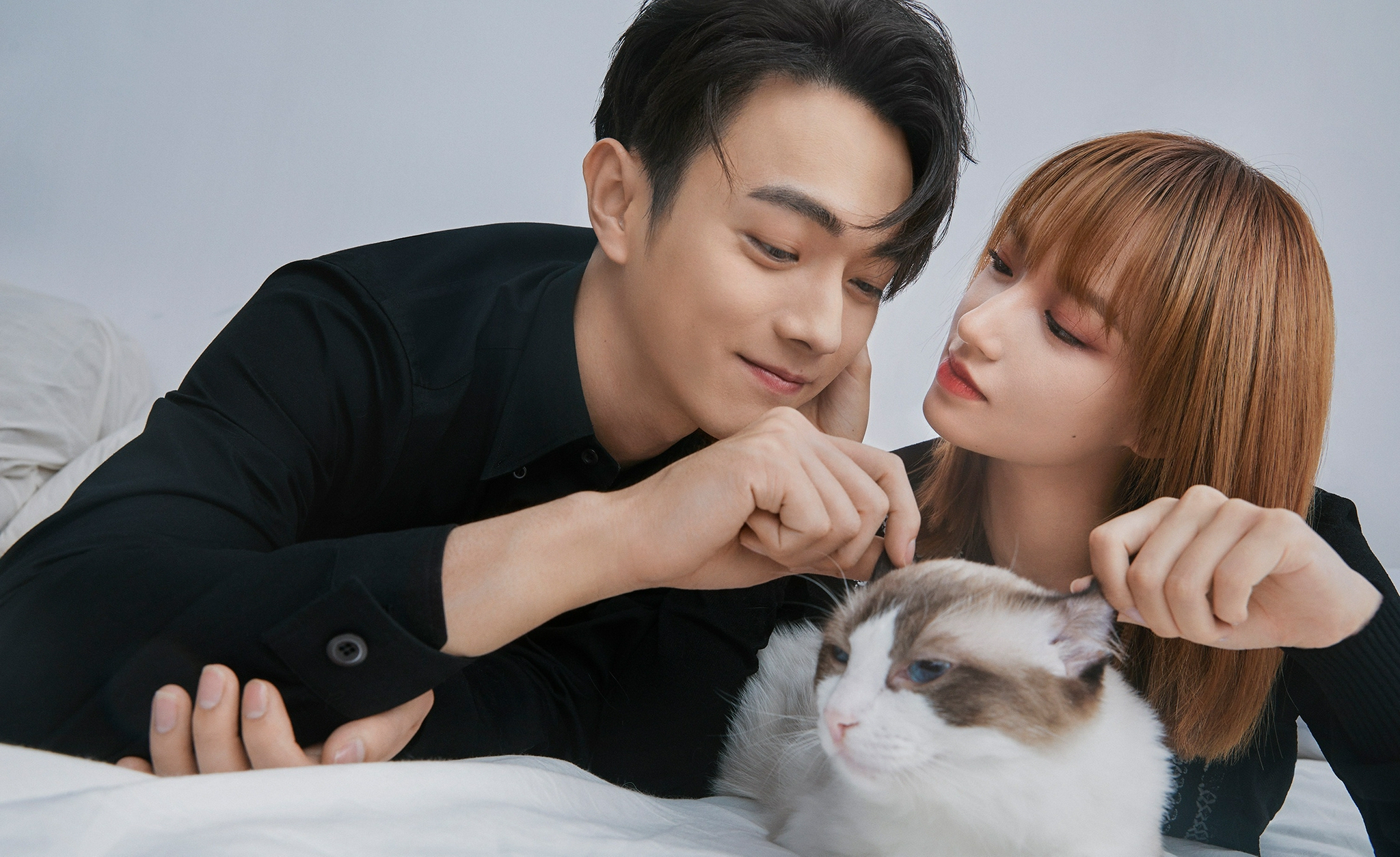 许凯程潇新剧开播电视剧台词引发争议女方演技堪忧