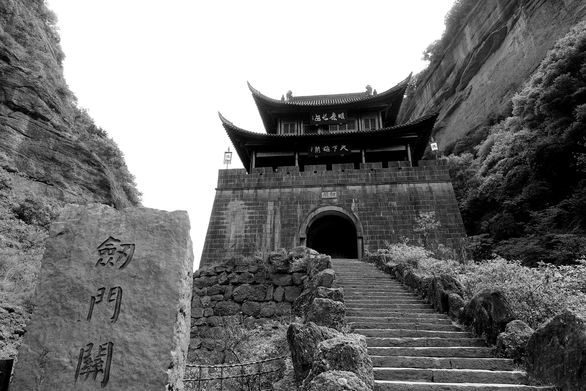 四川健康码的旅行熊猫,为什么要去剑门关呢?|剑门关|熊猫|广元_新浪新闻