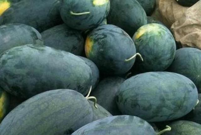 现在市面上所卖的绿皮瓜大多数是8424品种的西瓜,这种西瓜上市比较早