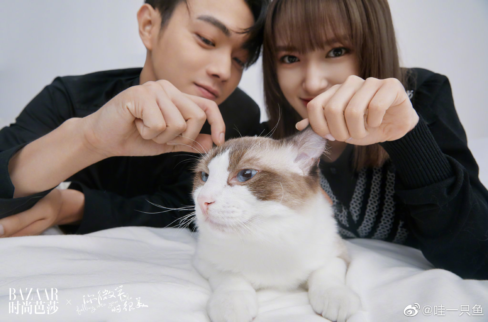 许凯程潇新剧开播电视剧台词引发争议女方演技堪忧