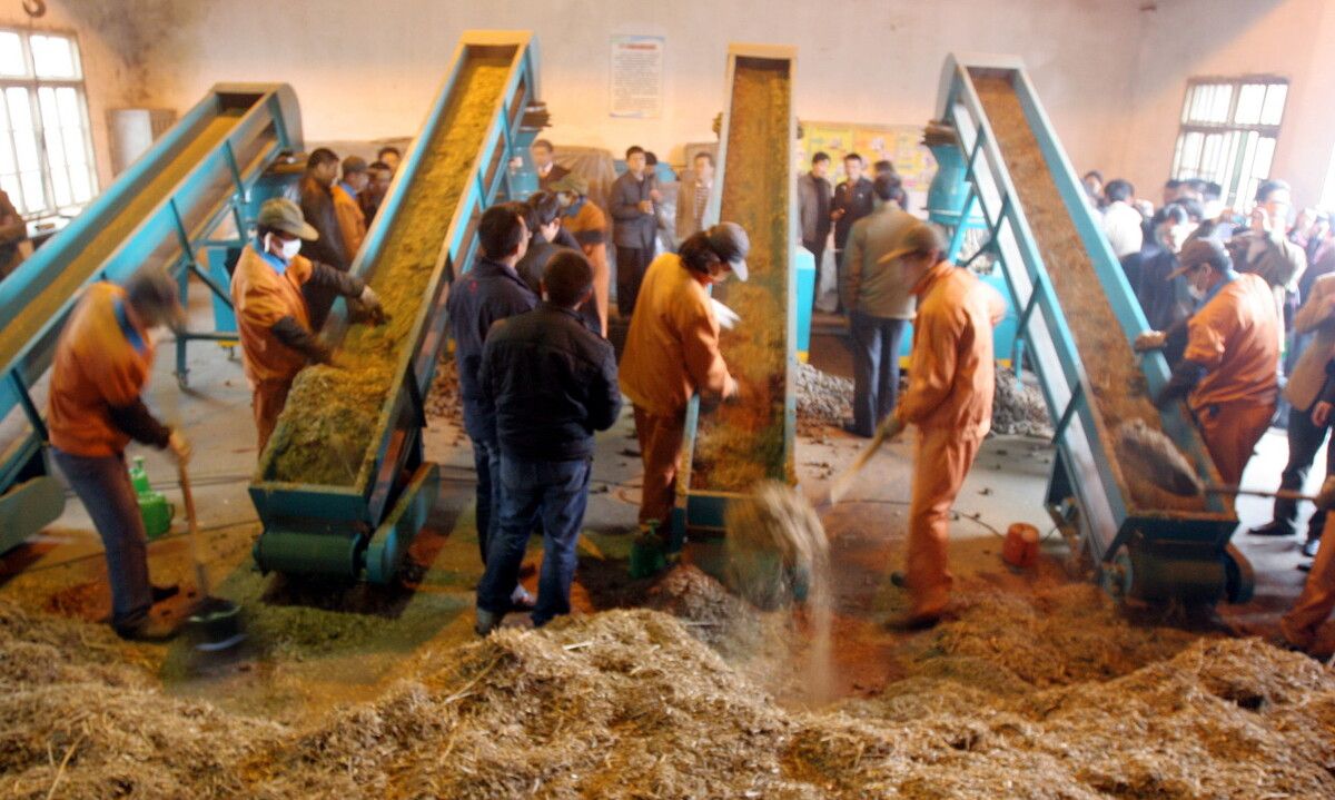 数据库优化视频教程