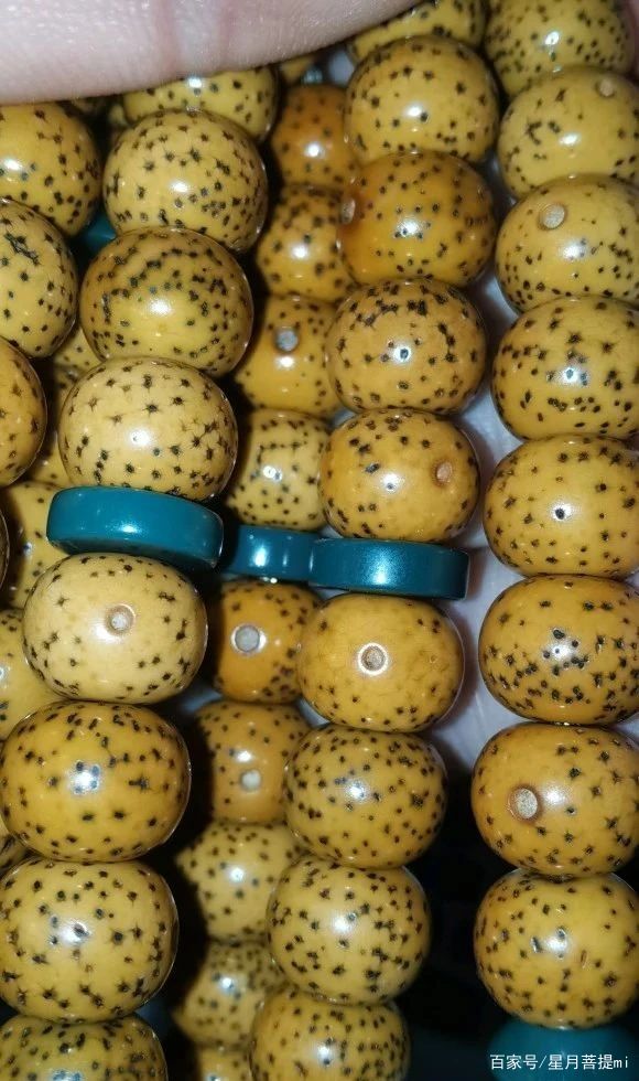 极品月朗星稀的顺白星月菩提开片之美|星月|菩提|包浆_新浪新闻