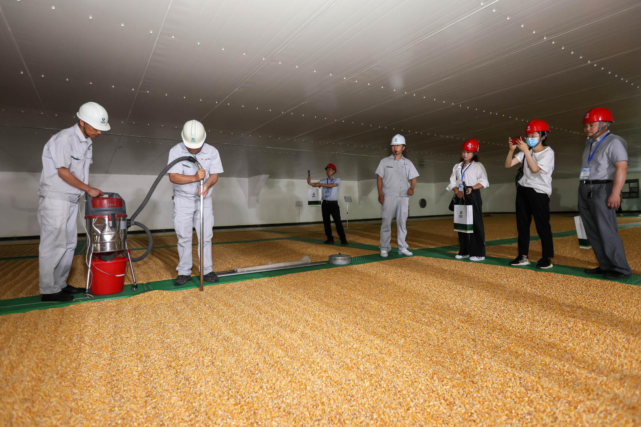 中储粮上海直属库举行第四届公众开放日活动|中央储备粮|粮食安全