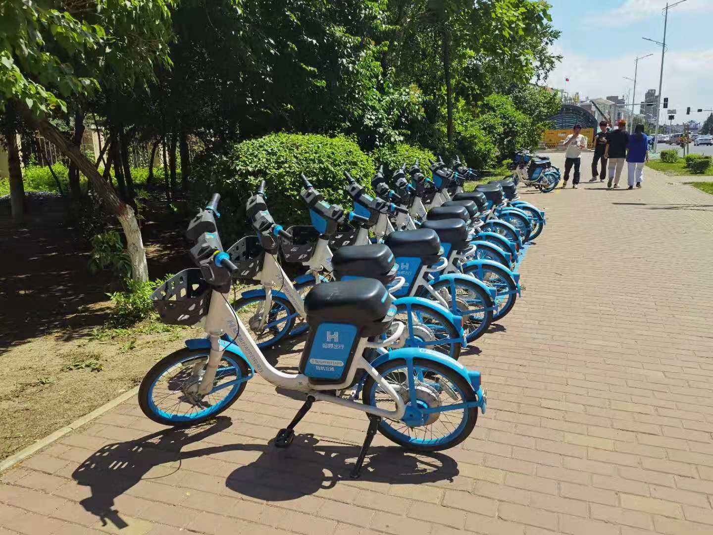 还车费劲,有时被加钱…冰城多位市民反映哈啰单车问题多