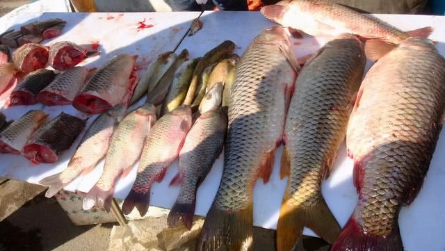 乡镇买鱼连逛3个摊位却没买到鱼商贩价格猛涨不敢进货