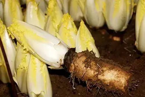 45岁女子，查出肝癌，厨房里有这3样物品，最好查一下肝功休闲区蓝鸢梦想 - Www.slyday.coM