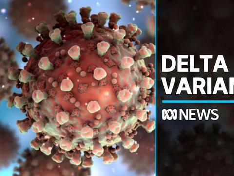 北爱尔兰有612例疑似delta变体病例,最早于7月5日推出疫苗护照