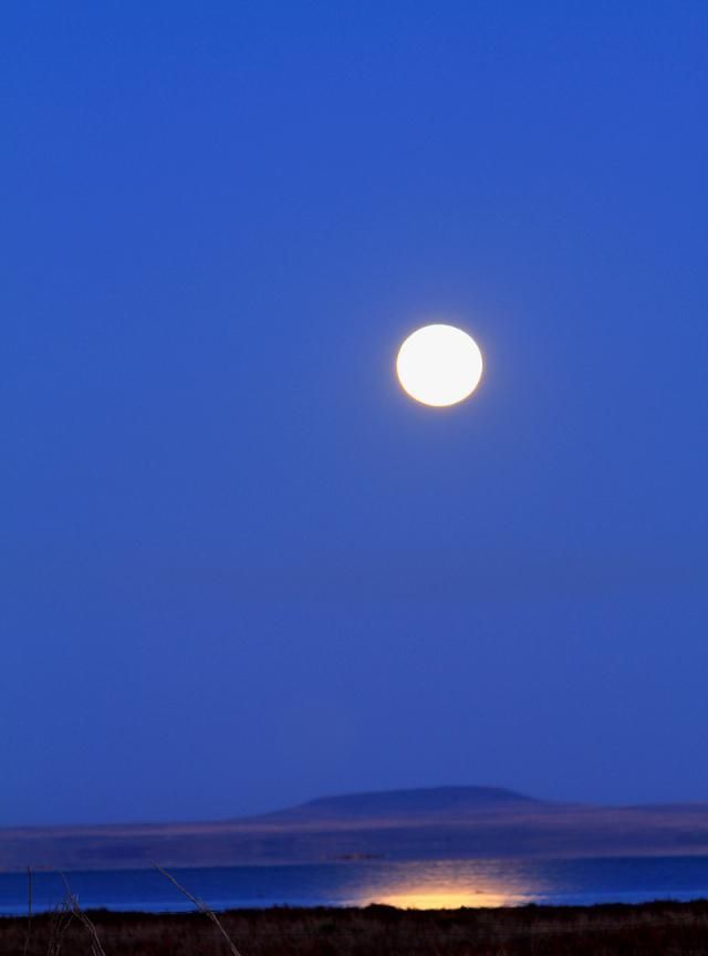 2,成人的世界,天黑可以矫情,天亮就得拼命,都能够不动声色地自己处理