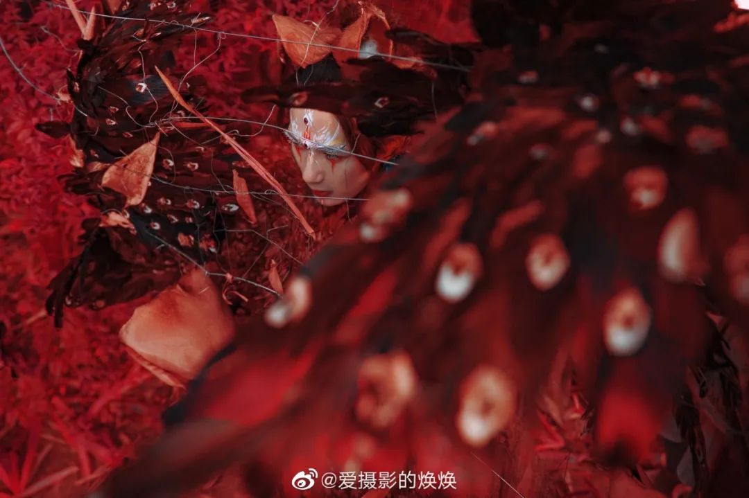 凤凰枝上高舞,是人是仙两不知.