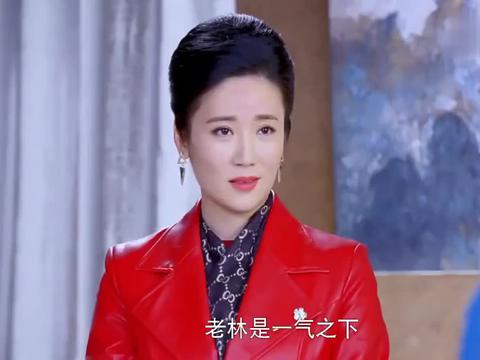 守护丽人:林佳一一见到亲妈,就当面嘲讽