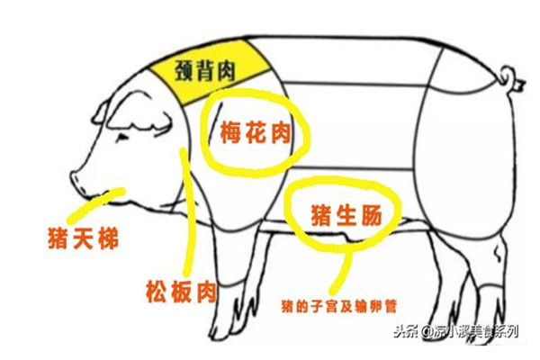 猪肉是咱们最常吃的肉,但是你们知道吗?