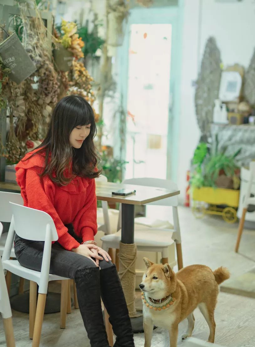 专访长歌行总编剧裴雨飞如何避免观众倍速看剧