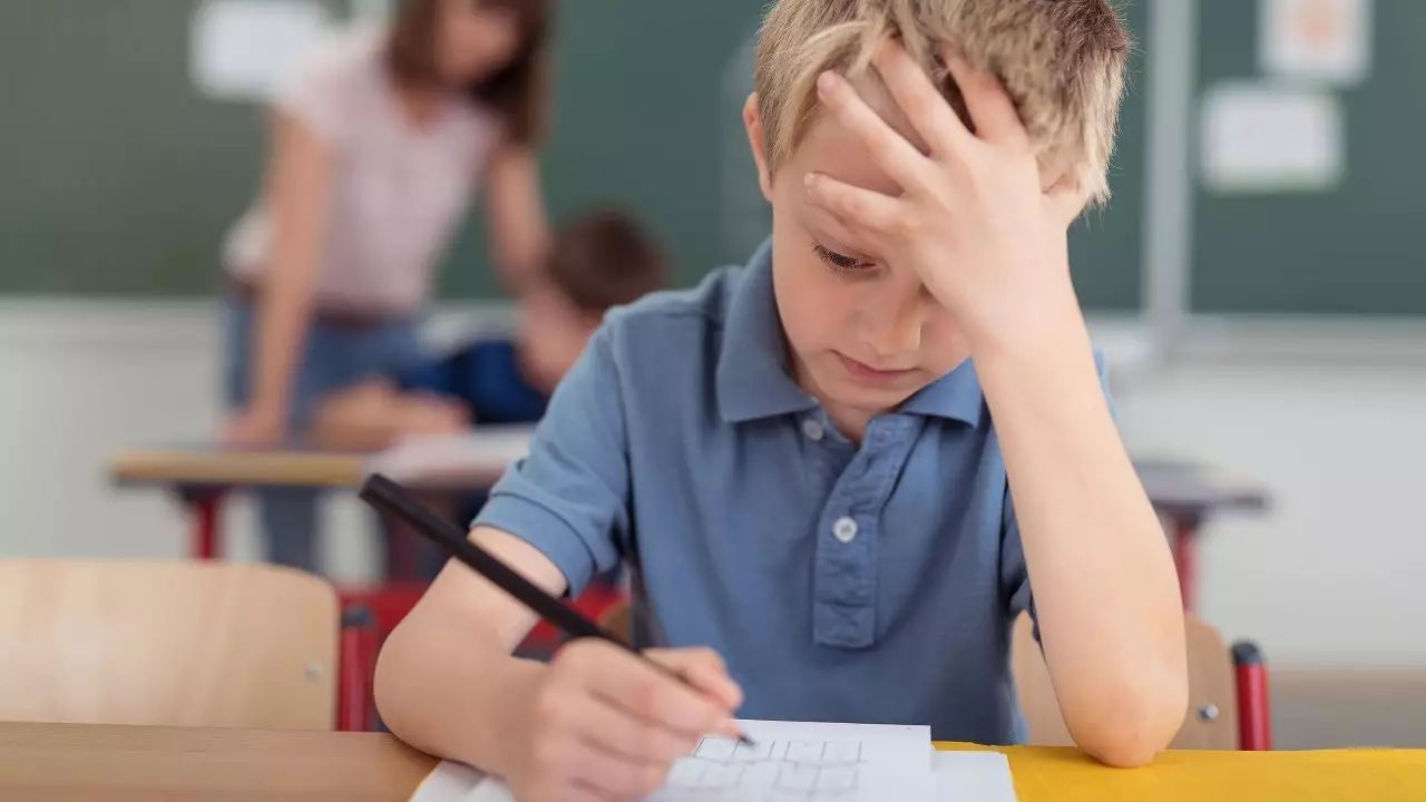 考前"压力山大" pipingrock朴诺磷脂酰丝氨酸为考生醒脑减压