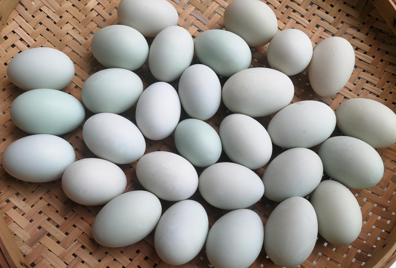 腌咸鸭蛋这么做保准个个起沙流油简单零失败教您详细做法