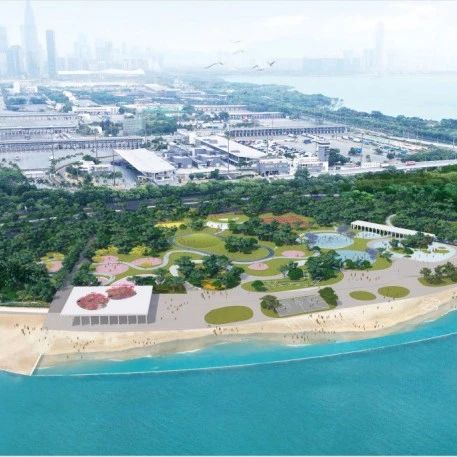深圳湾人工沙滩要来了?请你提意见!