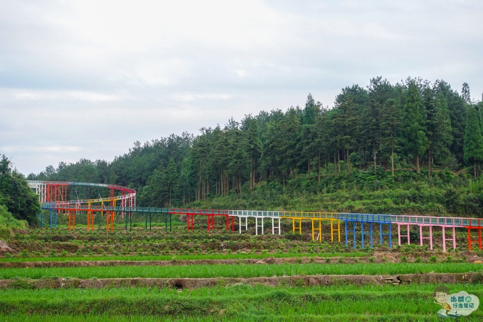 新颖独特且极富创意 网友:一起去"村"游|浙江|文成|农场_新浪新闻