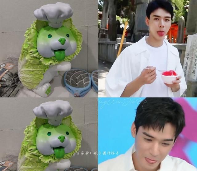 龚俊和狗狗表情"神同步"?网友:这未免太像了!