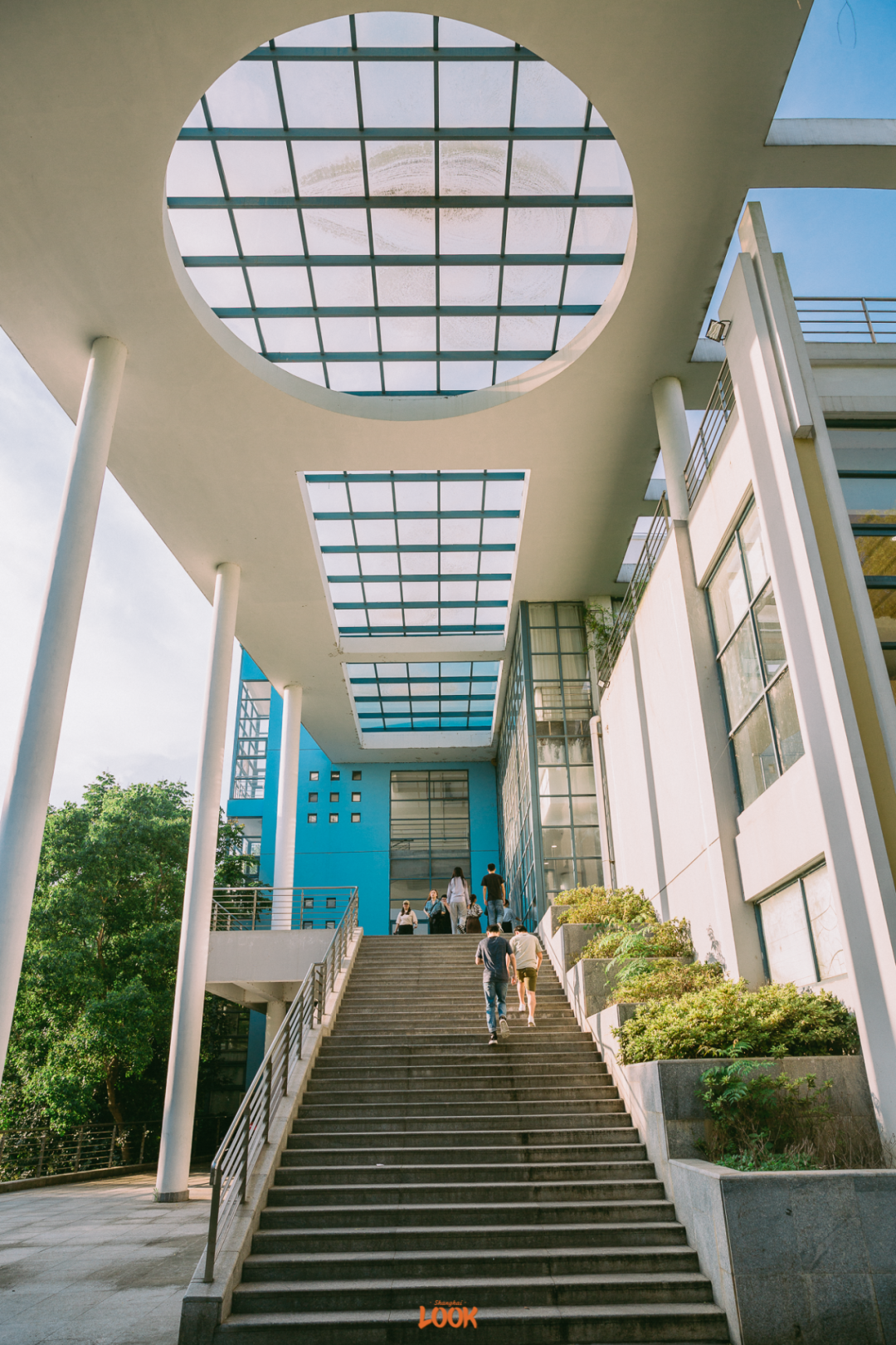 look | 东华大学,今年70周岁了|校区|延安路|松江_新浪新闻