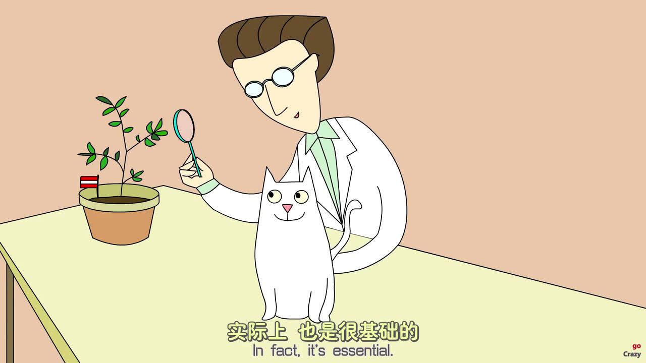 TED趣味科普：薛定谔的猫和量子物理