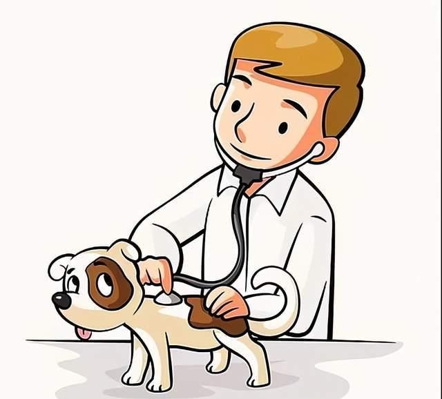 有个动物服务者朋友,是种什么体验?
