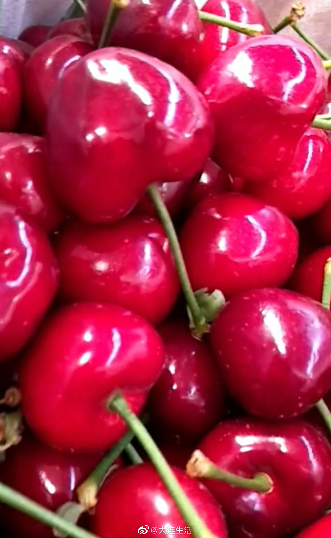 日本青森樱桃一颗3万日元