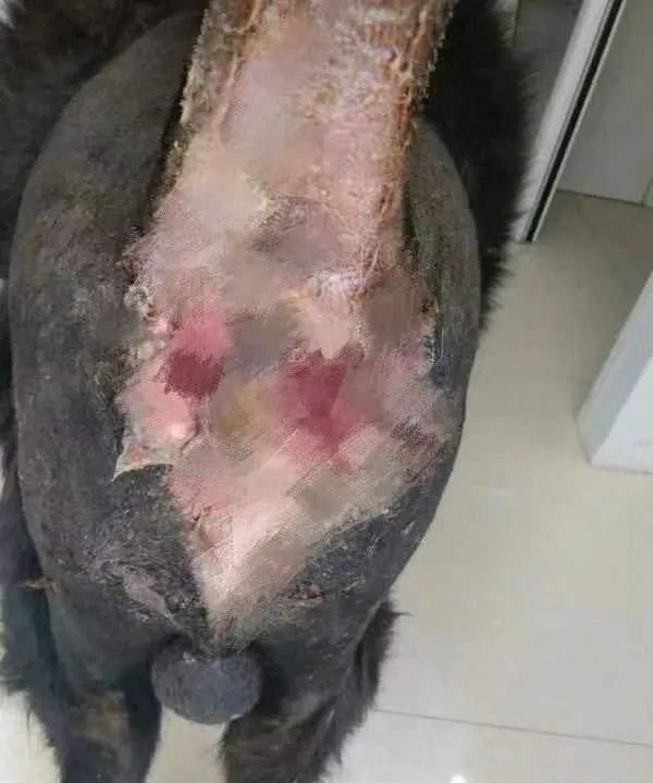 我今天刚切的蛋蛋      b:哟!