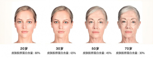 更重要的是,胶原蛋白也是皮肤结构的基本组成部分.