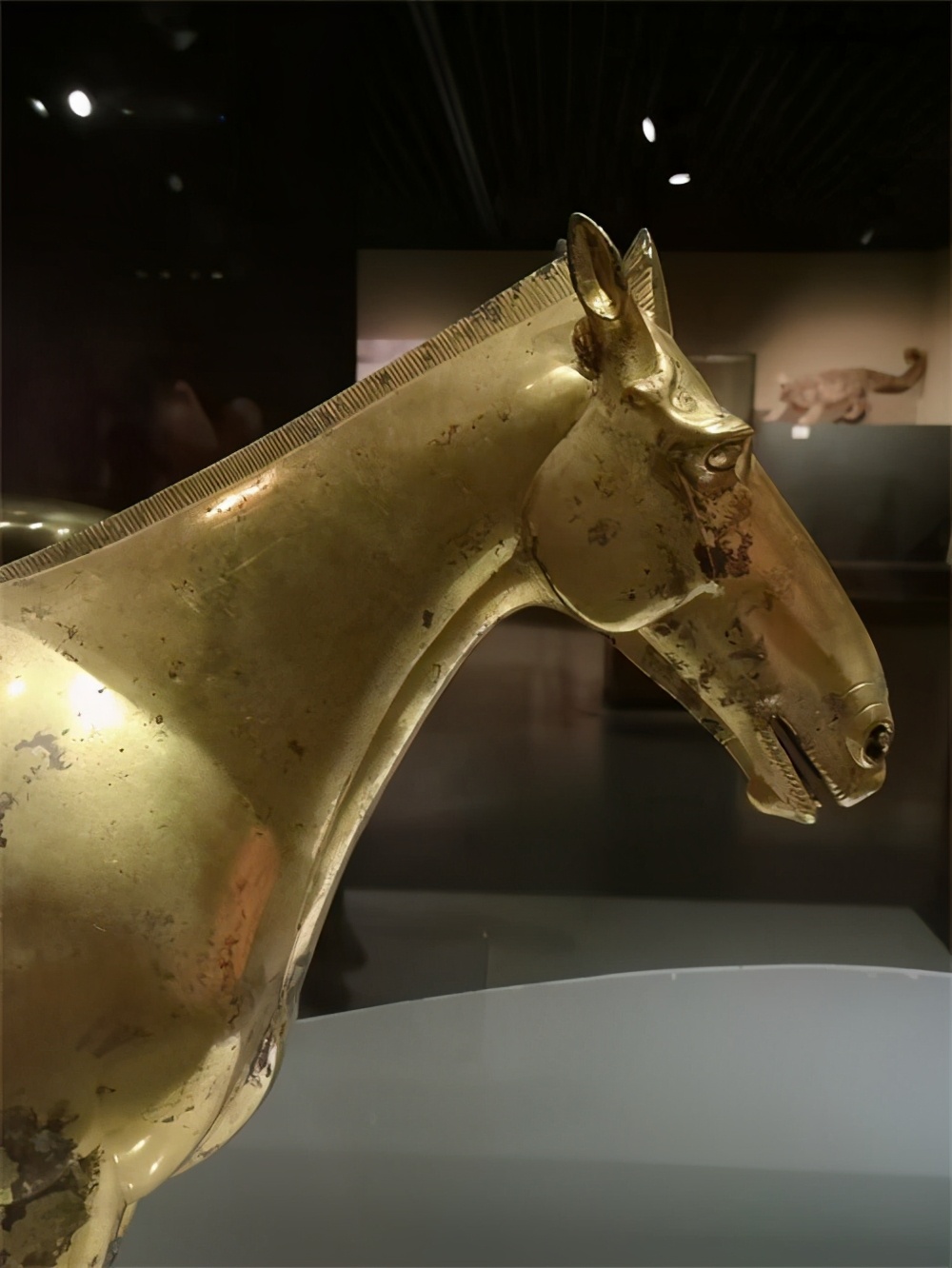 西汉鎏金马鉴赏|古代"汗血宝马"的故事|天马|汗血宝马|金马_新浪新闻