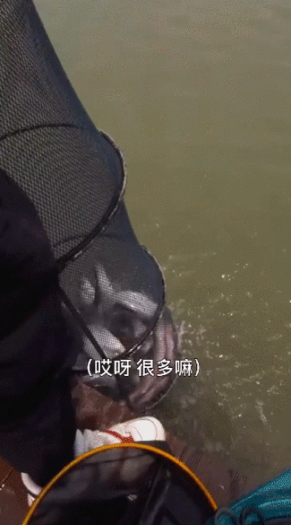 看着钓鱼的过程如此享受,年轻人也蠢蠢欲动,起了想学钓鱼的念头.