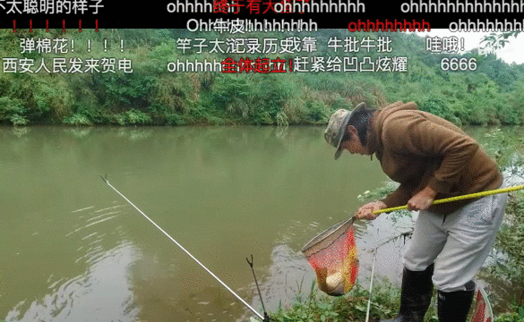 b 站钓鱼佬的幸福生活|b站_新浪新闻