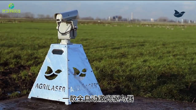 噪声扰民应对方法 驱鸟噪音防治指南