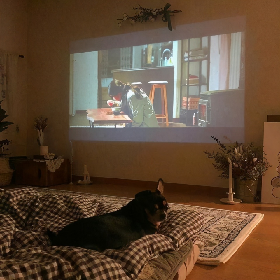 卧室投影仪选哪款合适颜值超高的当贝d1好么