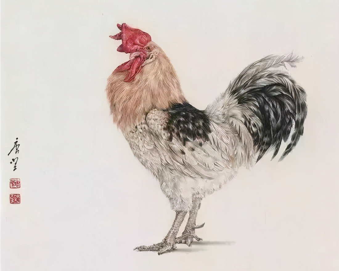 6月9日生肖鸡运势(6月生肖鸡运势如何)