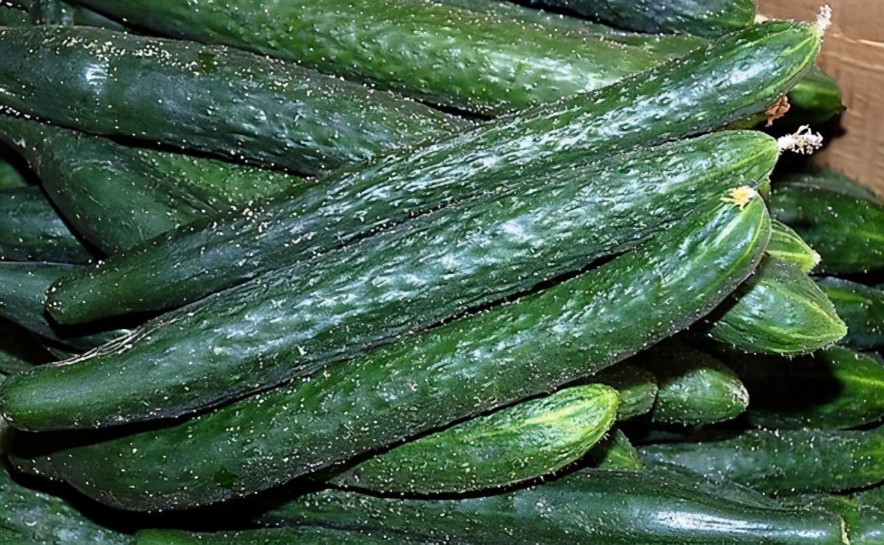 腌黄瓜很简单,做法分享给你,咸香脆爽,一次腌5斤不嫌多!