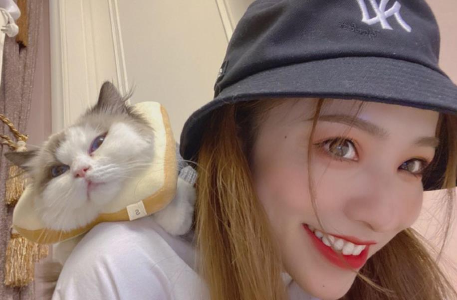 榜1当场跑路5072w粉丝网红迅猛龙素颜开播别取消关注