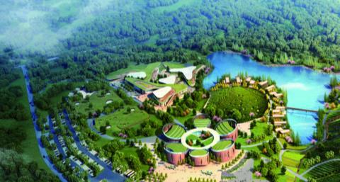 麻江网站seo优化公司