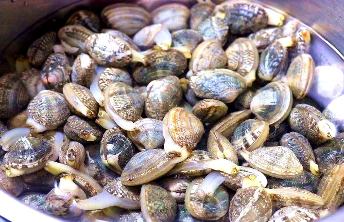 洗花甲,不要只会浸泡,教您一招简单方法,5分钟洗净花甲!