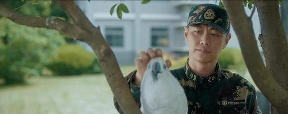 爱上特种兵田勇和小雪梁韶雪是什么关系 最后结局怎么样在一起了吗