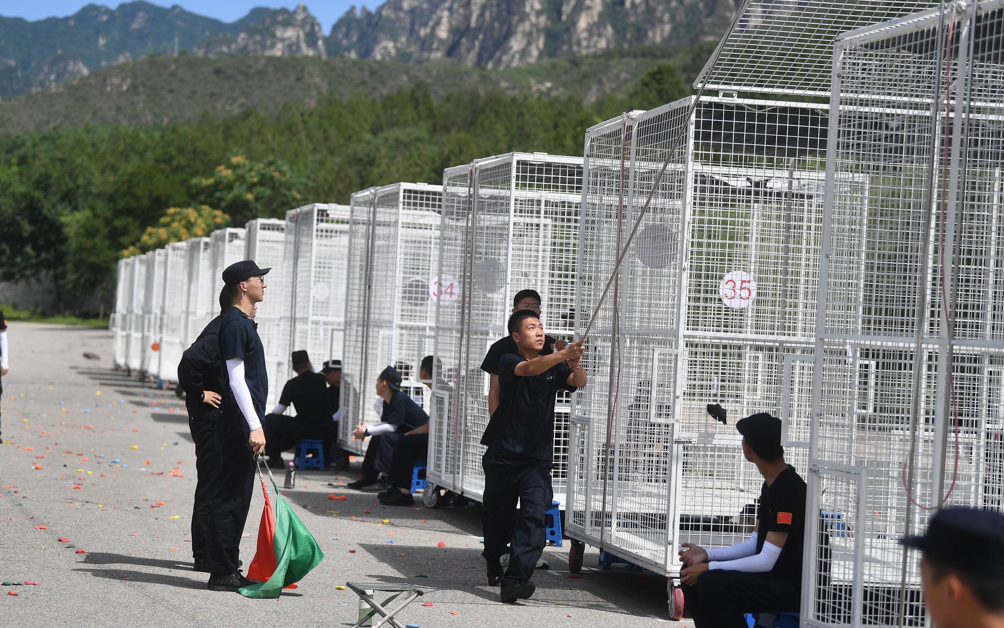 和平鸽放飞员:一次"只能成功,不能失败"的特殊任务|北京警察学院|鸽子