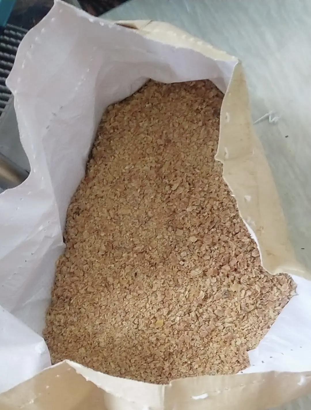 老家磨坊带的花生饼当成肥料用肥效十足养花超好用