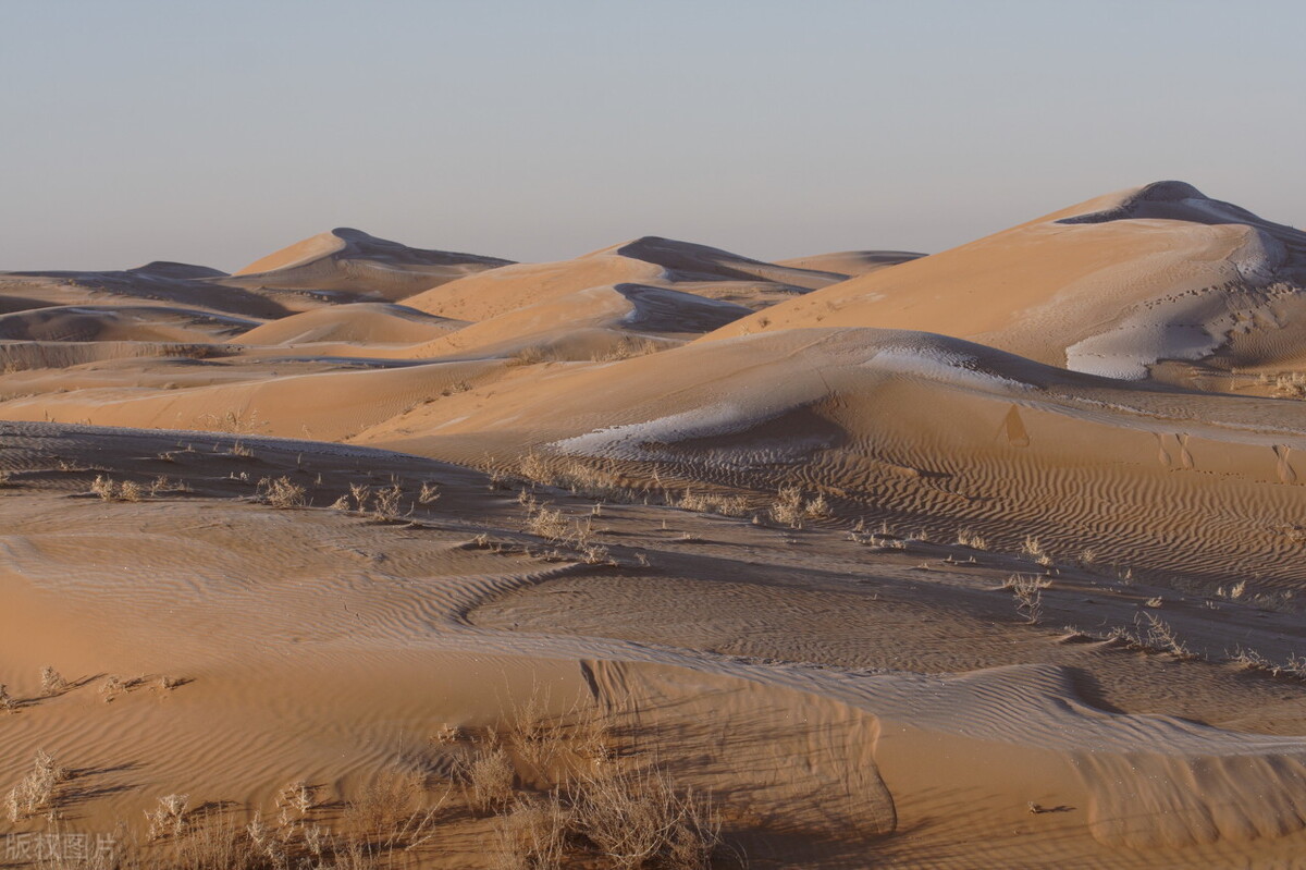中国四大沙漠之一毛乌素被消灭了人类能消灭所有沙漠吗