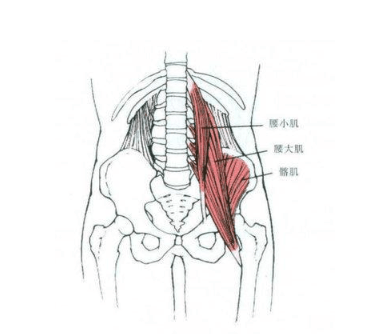 原来参加《浪姐2》,一直在艰难前行|浪姐2|腰肌劳损|胡静_新浪新闻