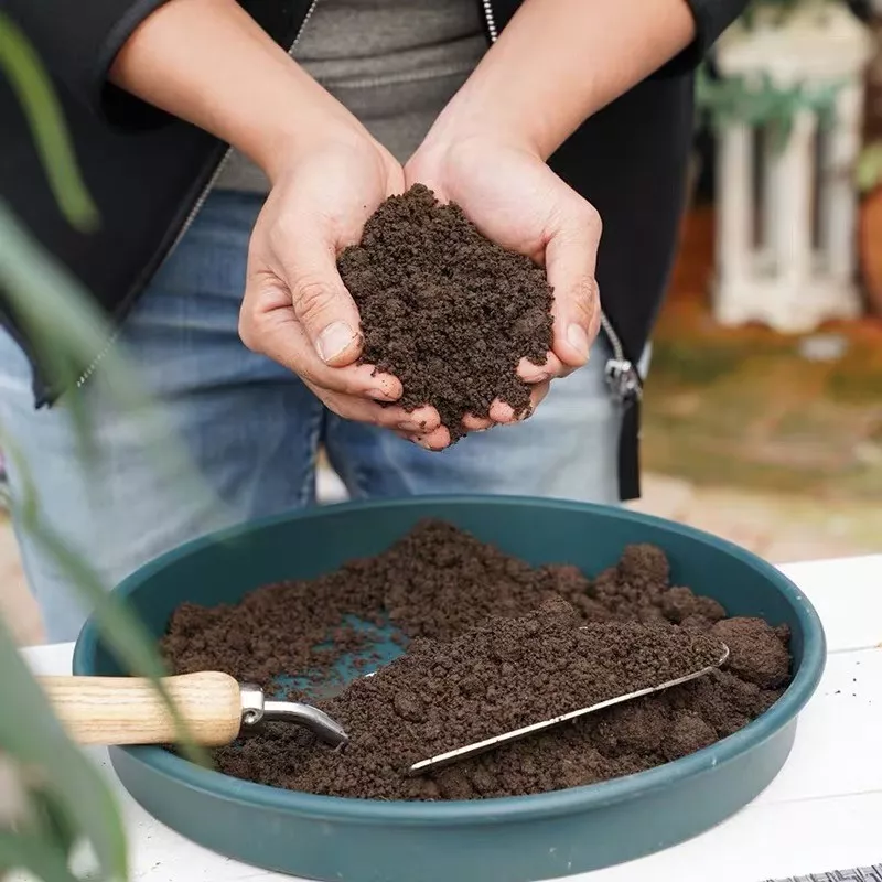室外养多肉用泥炭土,室内养多肉用颗粒,环境不同,用土不同