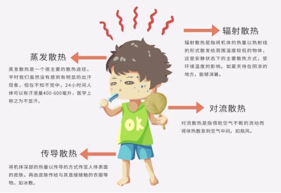 说到人体承受高温的极限,就不得不说一说人体散热的四种主要途径,分别