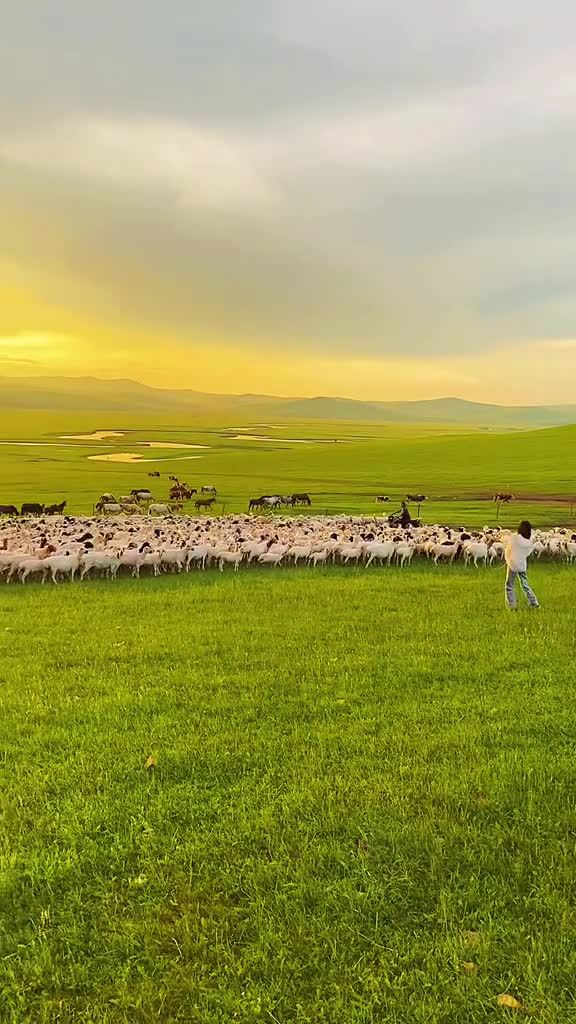 绿茵清泉晚霞,骑马牧羊曲婉.九曲回肠河畔,捕捉美景无限