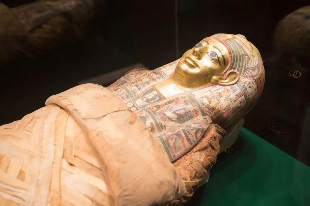 拉美西斯二世木乃伊鼻孔中发现异物揭示古埃及的谜团