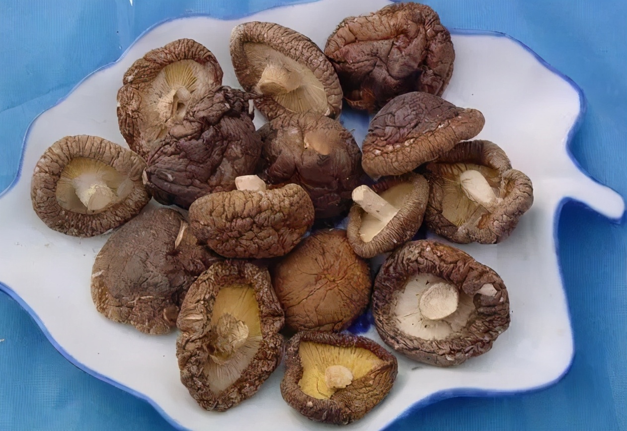 泡发干香菇不要用开水学会好方法泡得快又好